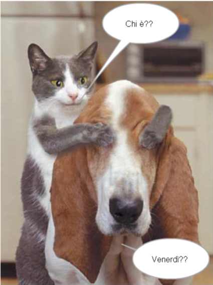 Immagine
